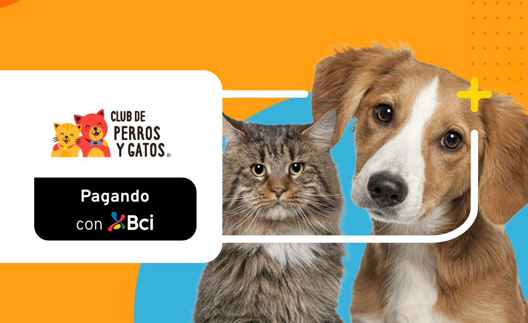 Club de Perros y Gatos descuento
