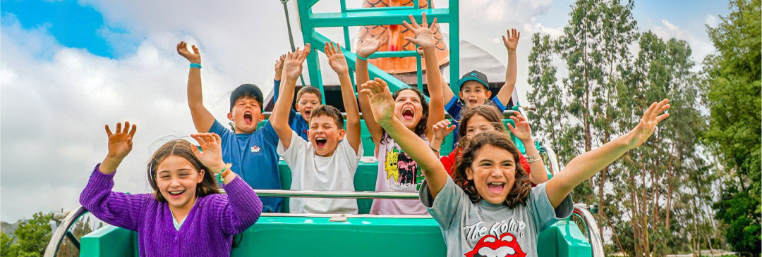 Imagen de Curunina Kids