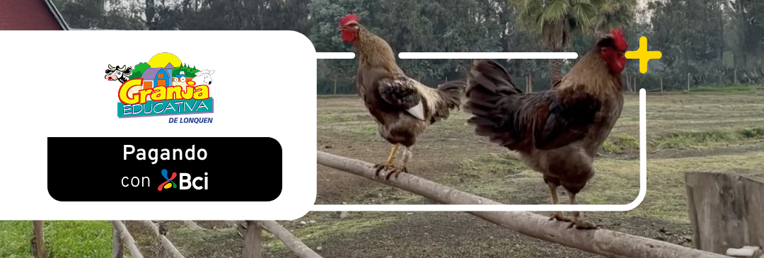 Granja Educativa Lonquén